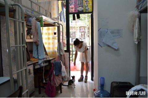 暖妈育儿经|大学生“校外租房”成流行,好好的宿舍说不住就不住,原因很无奈