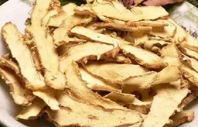 深度养生知识|走近中药：认识一下“清热”的知母，有六种情况需要了解