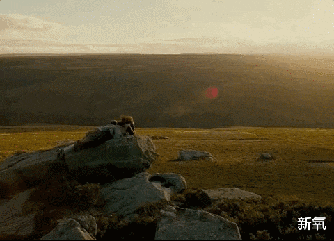 张震|美人无性别，这位男色能让东西方女生全都为他腿软…