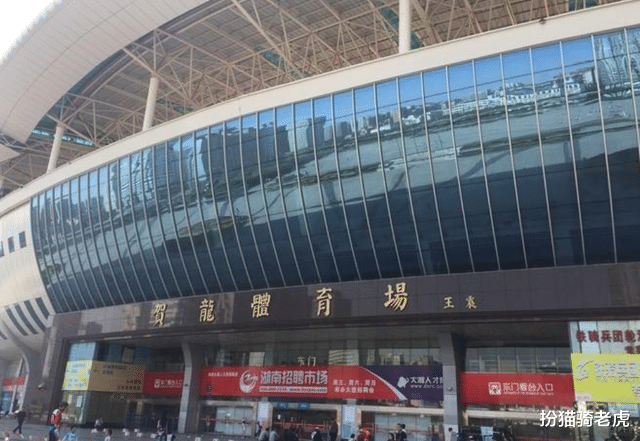 扮猫骑老虎|3次亲日事件、3次突然暴富：赵薇如何从“小燕子“变为容嬷嬷？