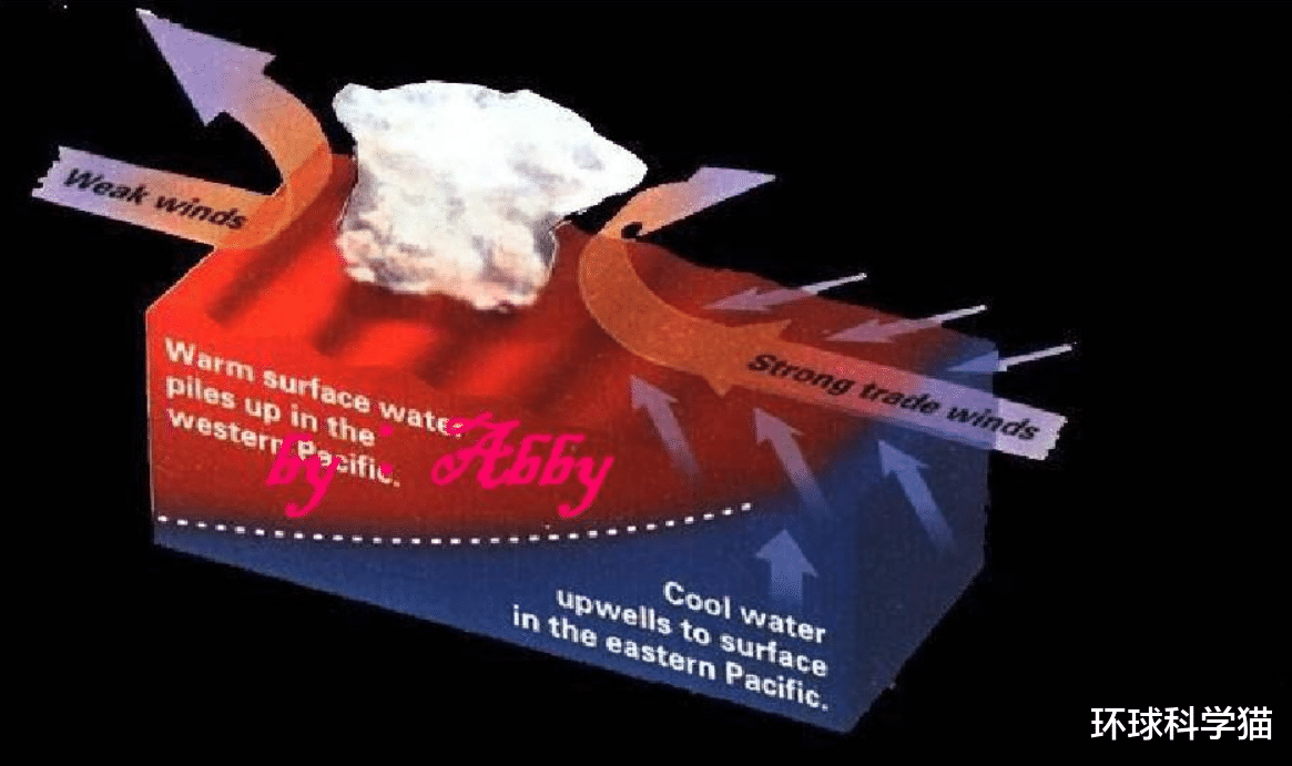 拉尼娜 大大提升！拉尼娜初冬重现概率达70%，冬季地球要大降温、更冷？