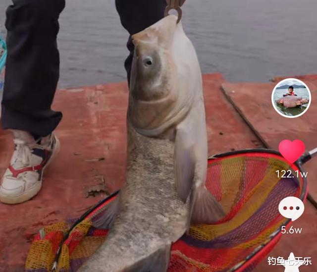 水库|将“盘老板”变成艺术!钓王邓刚再次开启“爆钓”模式