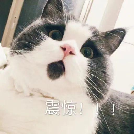 阜阳那些事 价格暴涨200%！阜阳一商家说：马上还要涨！降价要等到