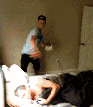 歪骆驼|“事实证明迎着阳光开车，离天堂最近，太危险了”