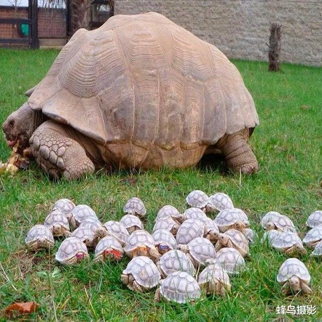  25张活久未见的照片，炸弹在几公里外爆炸，冲击波几秒钟就到眼前