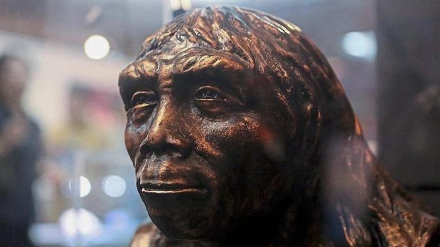 化石 人类发源地在哪里？达尔文早有预测，非洲是人类发源的“摇篮”