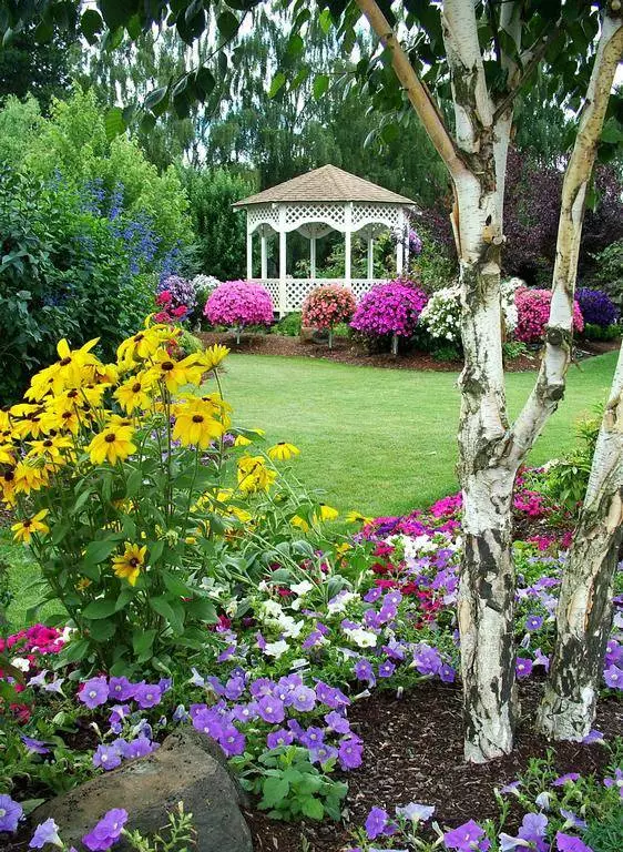 花园改造设计，手把手教你打造最美花园