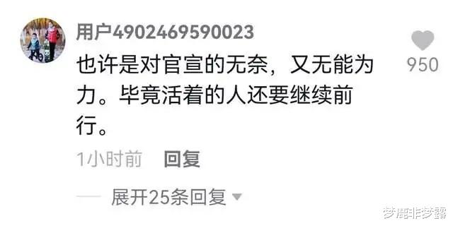 朱小贞|朱小贞哥哥粉丝暴跌,被质疑在怕什么,其实正好反映朱家人的体面