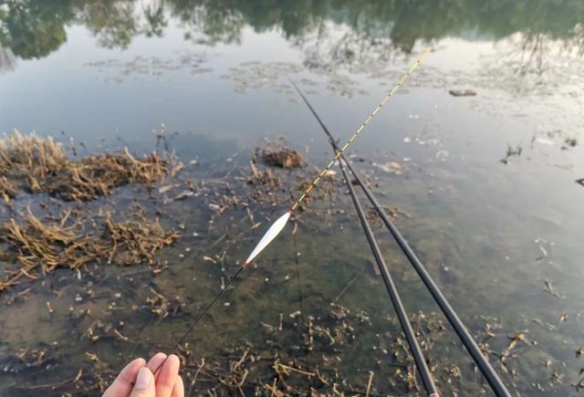 |调漂测钩重是故弄玄虚?别被带偏了,告诉你为什么要测钩重