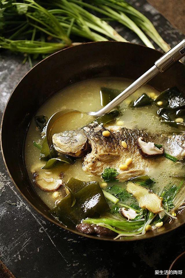 爱生活的陶哥|秋季多喝汤,6道养生汤,女人喝了更美,男人更强壮,孩子更健康