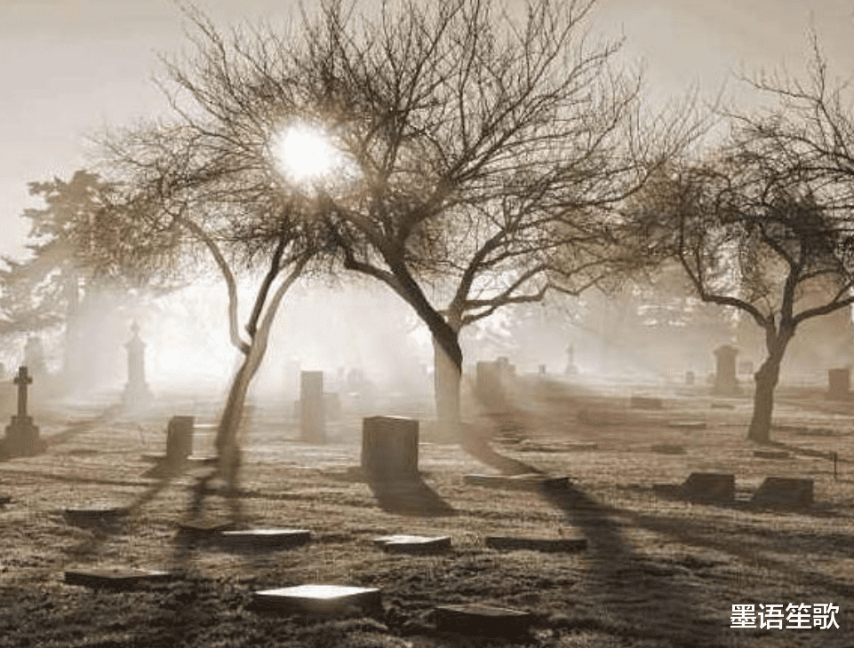 起死回生|人临死前会看到什么?154名起死回生者的回答,令专家激动