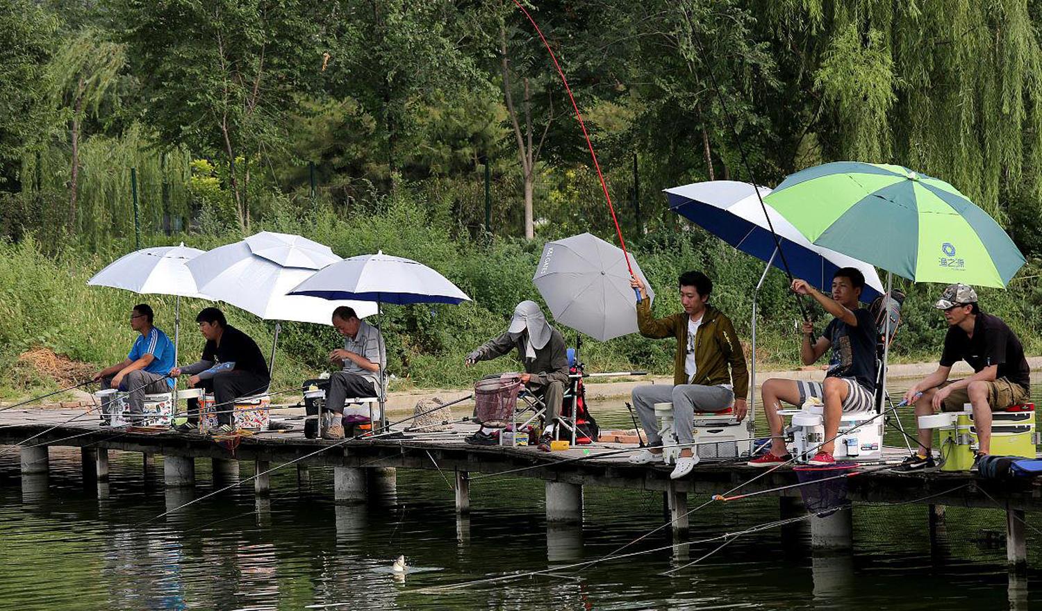 饵料|在黑坑钓鱼什么因素最重要?非钓位莫属!黑坑钓鱼选钓位的技巧