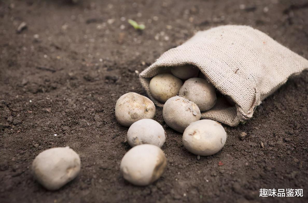 玛雅人 时空之门再现？115人集体消失，和玛雅人一样离开了地球？（上）