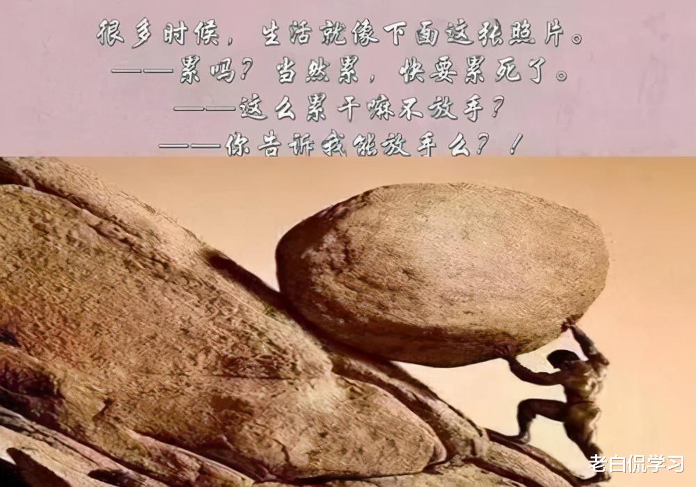 老白侃学习|22年“世界大学排名”出炉，清华北大并列世界第16，亚洲第一