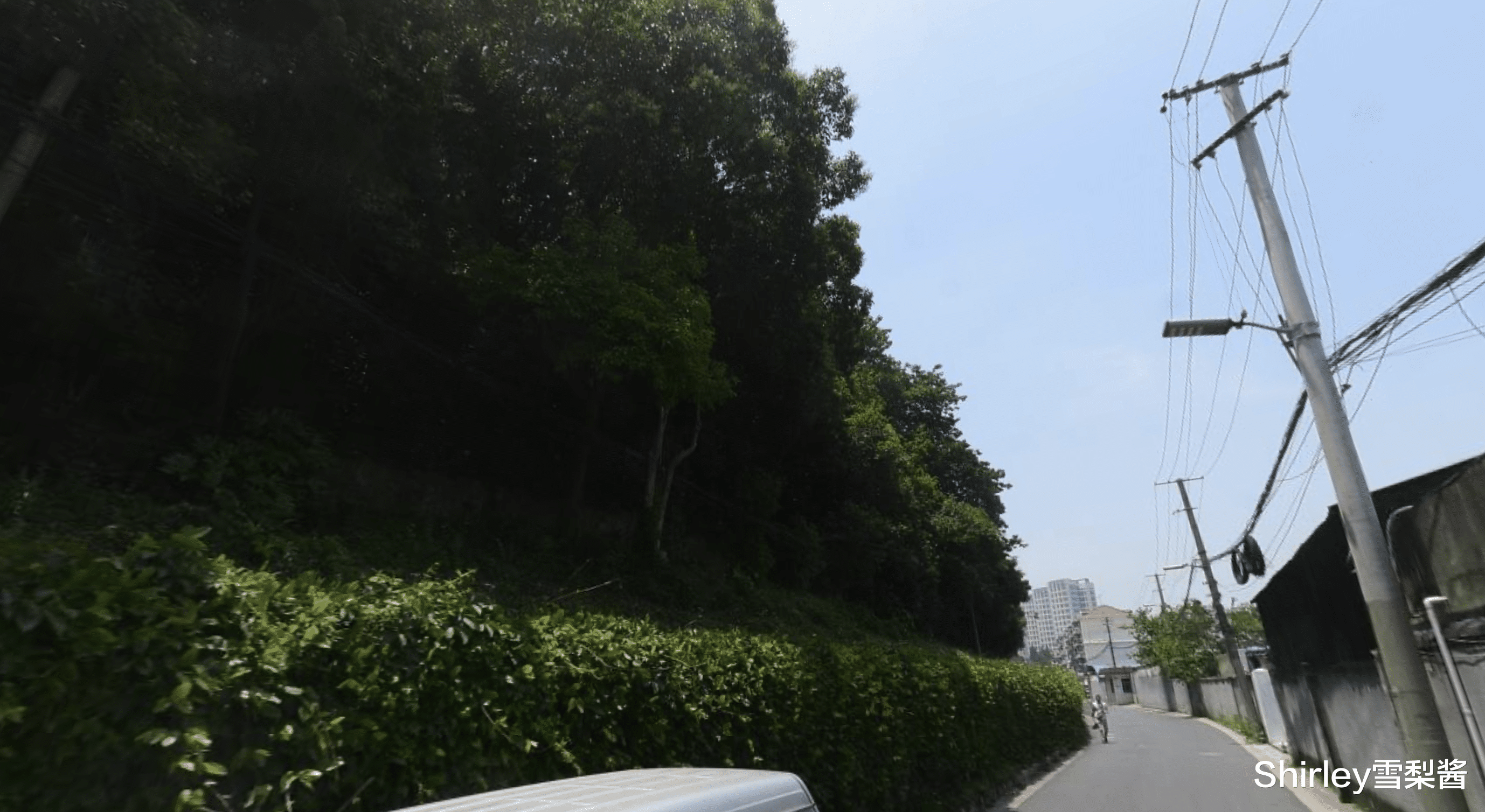 上海地图上找不到的一座小山,曾先后作为日本人的靶场和刑场,去探险的人都后悔了