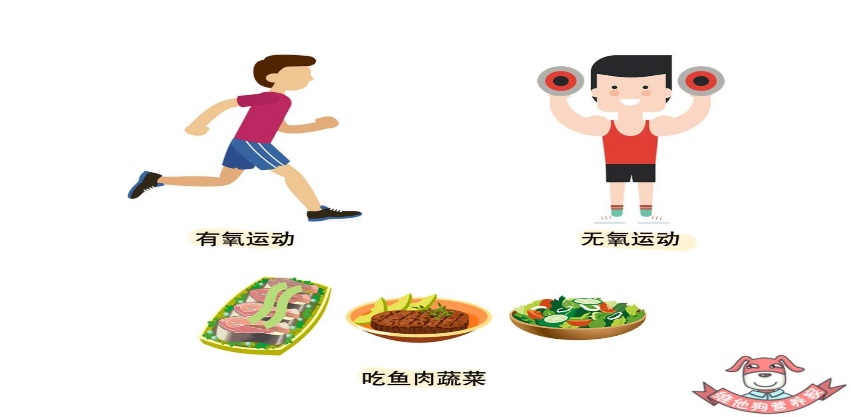 运动 体重下去了