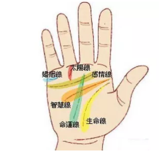 玄风命理|手上的心脑线，及其寓意！