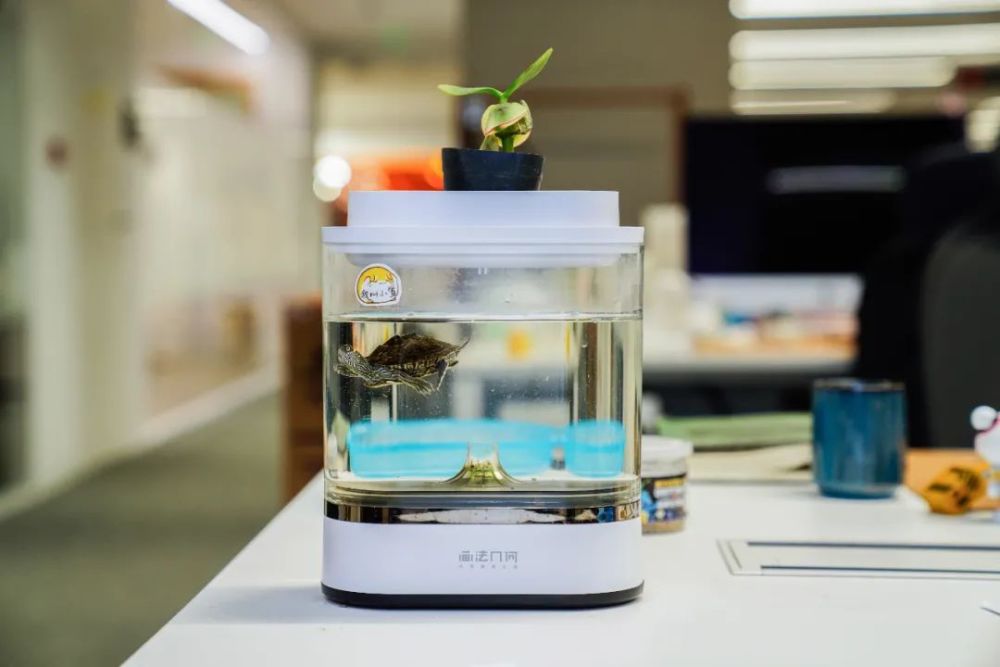 搬砖人们!不如趁着双十一买点工位好物装点生活