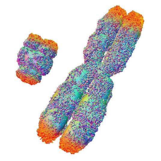 中国科学院|读完这个，请重新审视一切