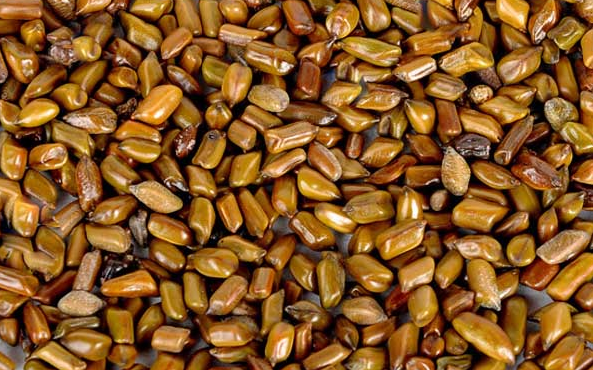 肝脏|“伤肝大王”被发现，专家警告：不想肝脏报废，3物白送也不吃