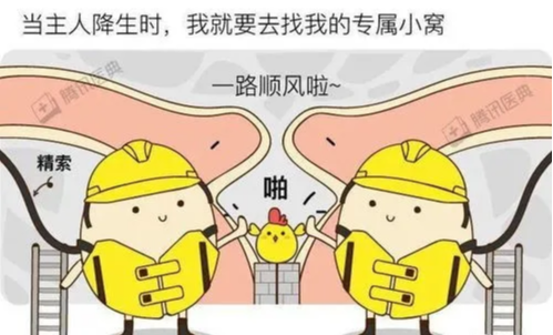 洗髓功志诚|洗髓功提升“小蝌蚪”质量，这原本是我最骄傲的事，现在越来越差【视频分享】