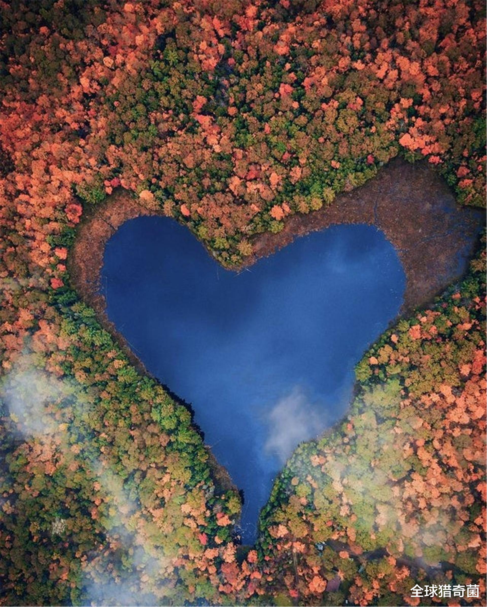 驻马店 30张罕见的照片告诉你,未经人类打扰的大自然有多美!