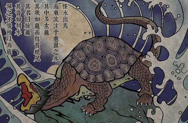 科学家 进化论的终极BUG：乌龟，如何成为科学家们的噩梦？