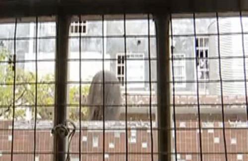 舜网 女子拉开窗帘发现有个“人头”，吓得赶紧报了警，不得不说真的很吓人