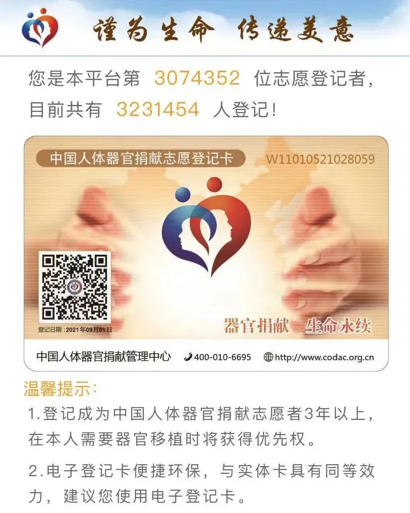 费加罗夫人 “一个女孩去世后的24小时”