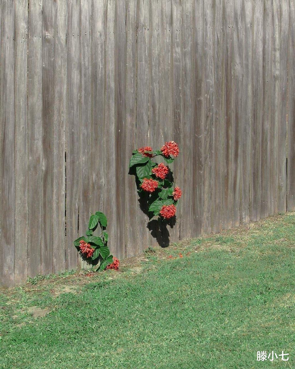 滕小七|《三十岁，一切刚刚开始》：鼓励别人的话，其实都是在鼓励自己