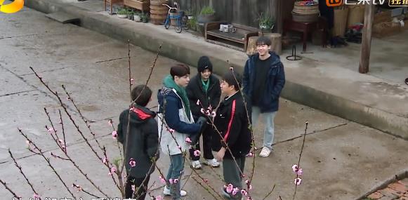 青簪行|张艺兴的牛肉被调包,黄磊替徒弟出头,导演瑟瑟发抖求放过