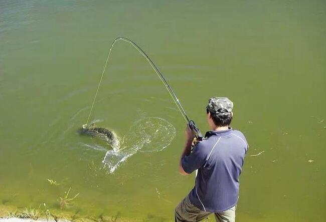 |掌握了这些遛鱼技巧，钓上大鱼，就再也不用担心跑鱼了