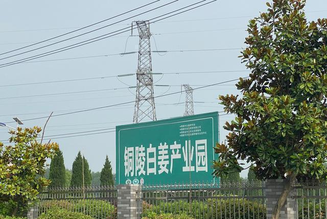 癫痫病|八月立秋：开始进入阳衰阴盛，接下来的90天，顺应天时驱寒补阳