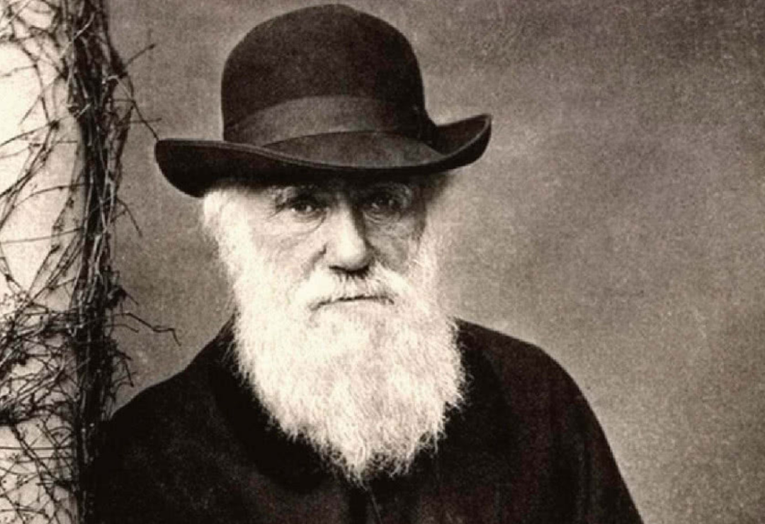 基因 一夫一妻使自然选择失效，导致人类进化停止？其实人类在加速进化