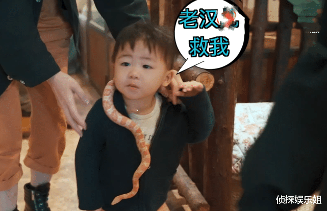 钟汉良|笑不活了！蔡少芬年货节送儿子同款人形拖把，直呼亲测好用超坑娃