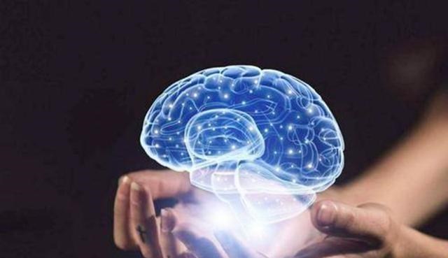 太空 章鱼有9个大脑能编辑基因，智商高到无法理解，为何没发展出文明