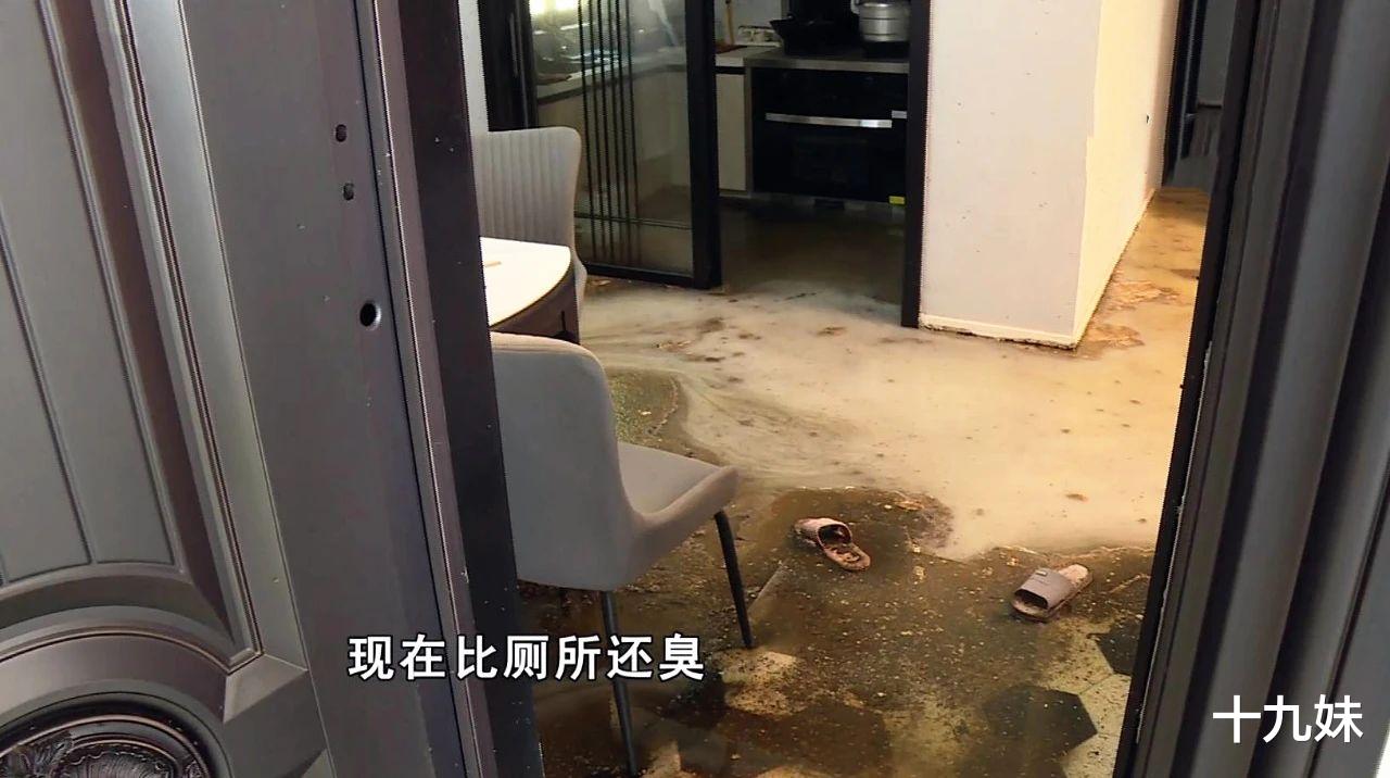 |刚装修好的房子变成“粪坑”，业主欲哭无泪：开发商应赔偿我损失