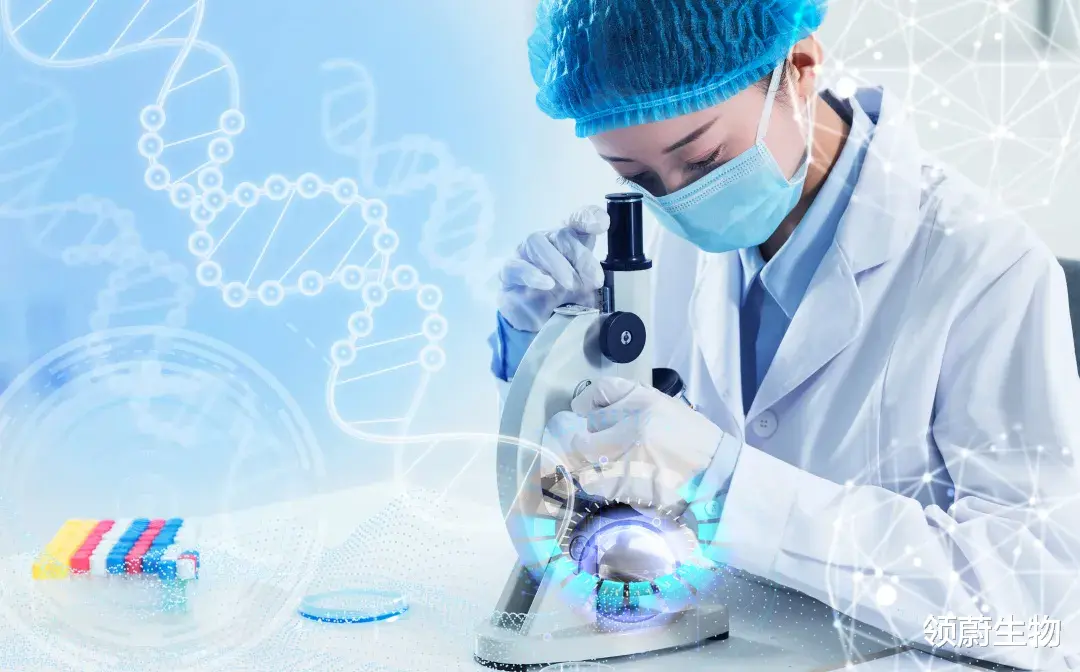 领蔚生物|福音丨关节软骨持续再生！干细胞让骨关节炎治愈成为可能