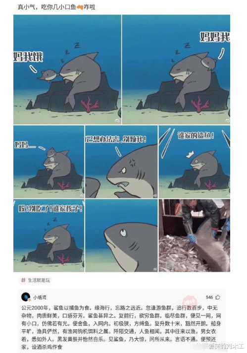 火炮|“女朋友踩我键盘不让玩游戏,现在怎么选?”选火炮