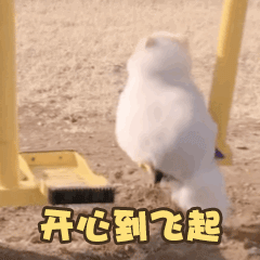 爱洛阳 交房时间!改造计划!最新拆迁消息,还有地铁公开招聘、一号预警、央视关注...