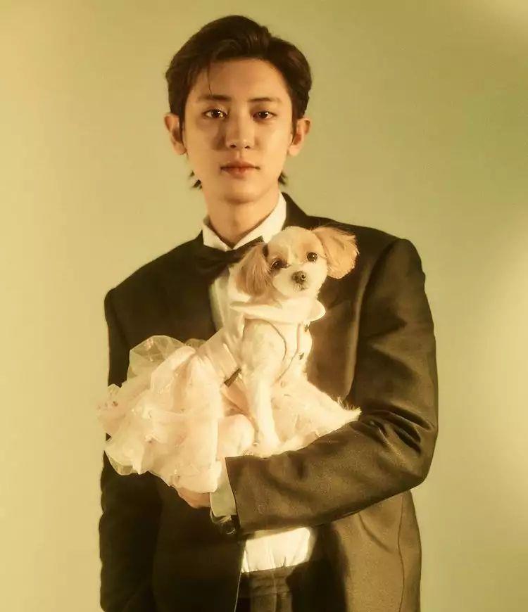 朱媛媛|EXO灿烈&Red Velvet的她，被韩媒选为年度最烂演技！