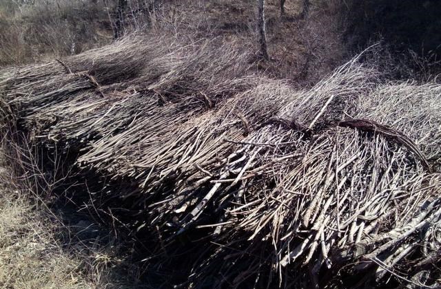 后宫史|古代皇帝使用的一种无耻的取暖方式,宫女受苦,却只能默默流泪