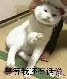 青岛市|地产答谢宴的猪，是策划杀的…