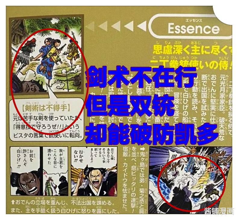 川木|《海贼王》新生命卡，五亿悬赏的以藏击落King的武士刀，还能破防凯多