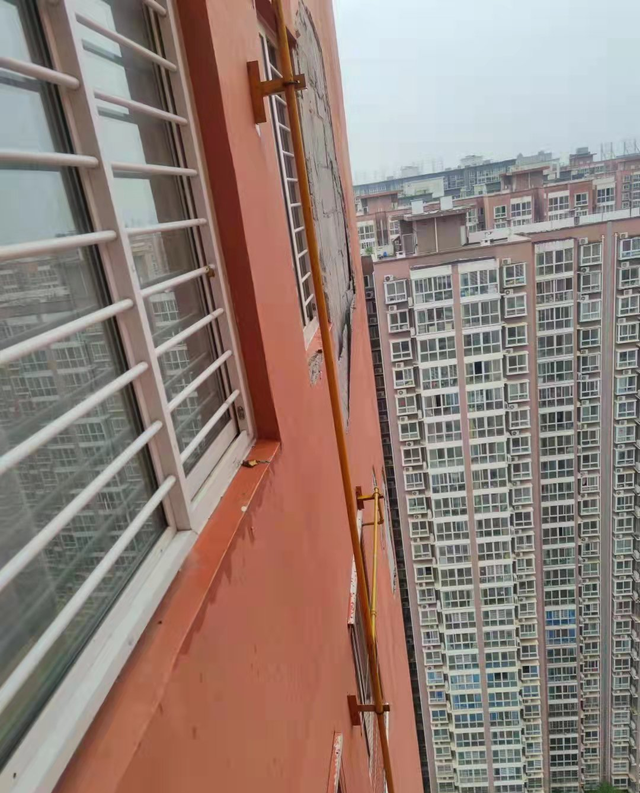 南阳|南阳“302”现状：革命尚未成功