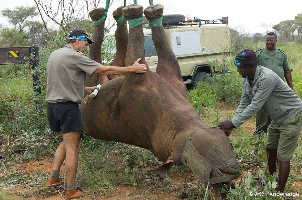三星堆 科学家是闲的吗?2021年搞笑诺贝尔奖公布,有哪些“奇葩”研究?