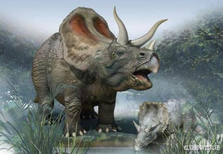 恐龙 晚白垩纪最著名的恐龙之一,三角龙。