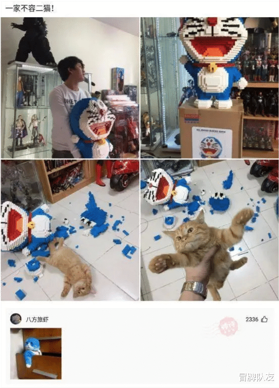 神回复:有些警车上喷印的是“公安”,有些喷印的是“警察”,两者有什么区别吗?