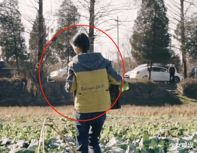 赵丽颖|赵丽颖下班后去农场摘菜，细看她的蹲姿，是否作秀一目了然