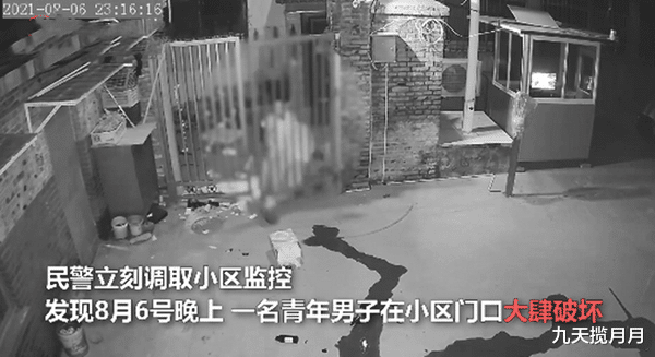 九天揽月月|奇葩男子神操作，小区门口设灵堂为寻妻？过程被监控录下